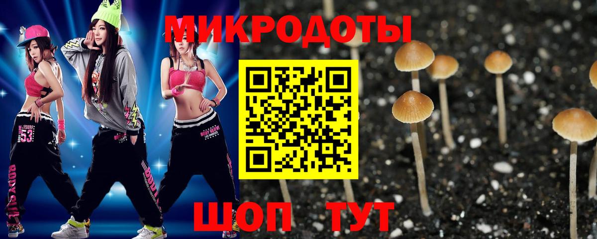 Галлюциногенные грибы Psilocybine cubensis  Вход с VPN  Приморско-Ахтарск 
