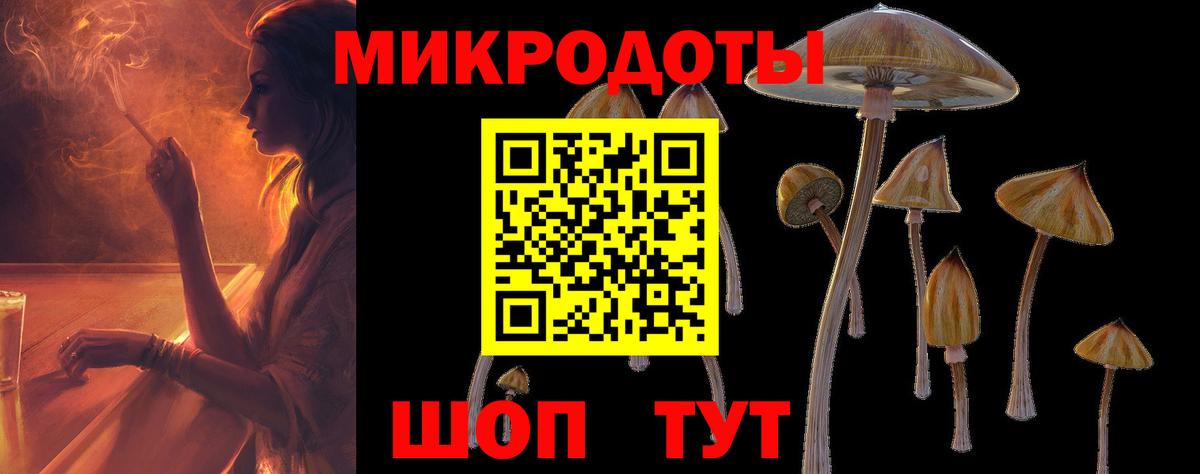Галлюциногенные грибы мицелий Приморско-Ахтарск